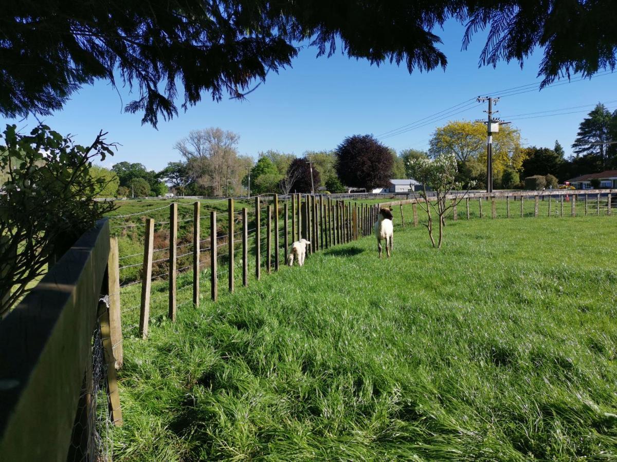 Farm Stay On Te Awa Cycleway Tamahere Exterior photo